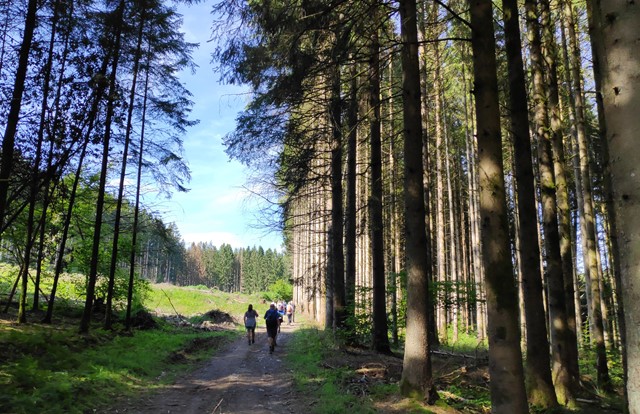 Ardennen Wallonië