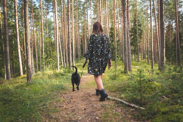 Hond met baasje in het bos