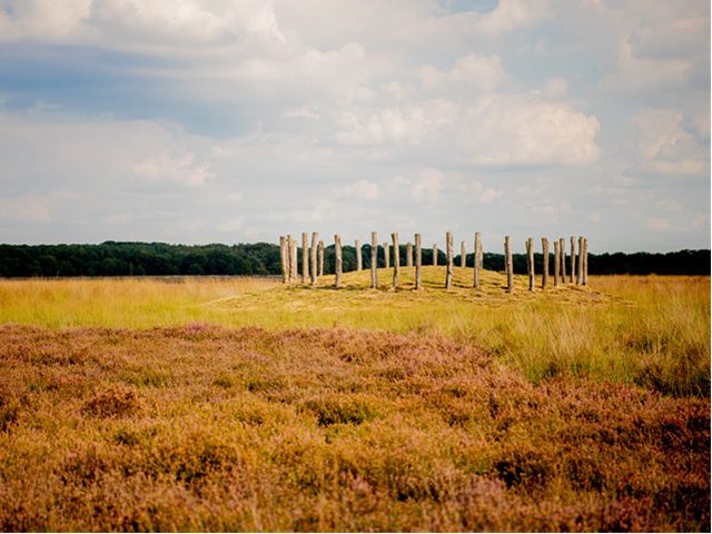 Regte Heide Grensland De Baronie
