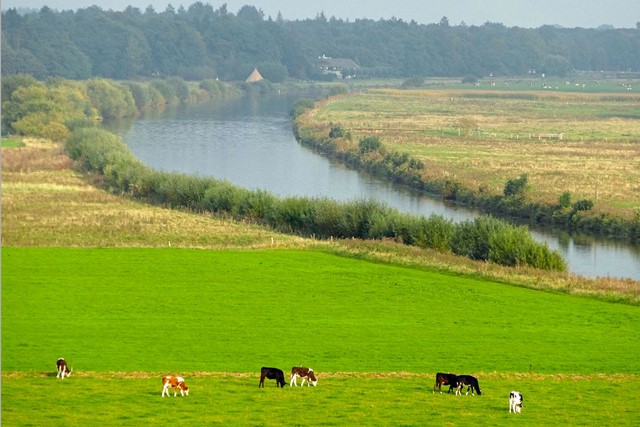 Het Vechtdal bij Dalfsen