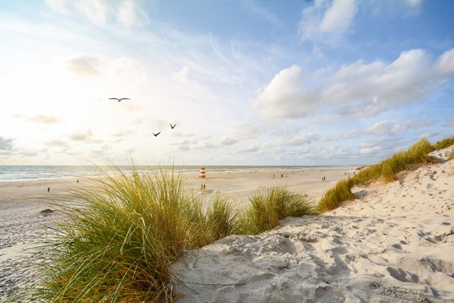 Sylt.