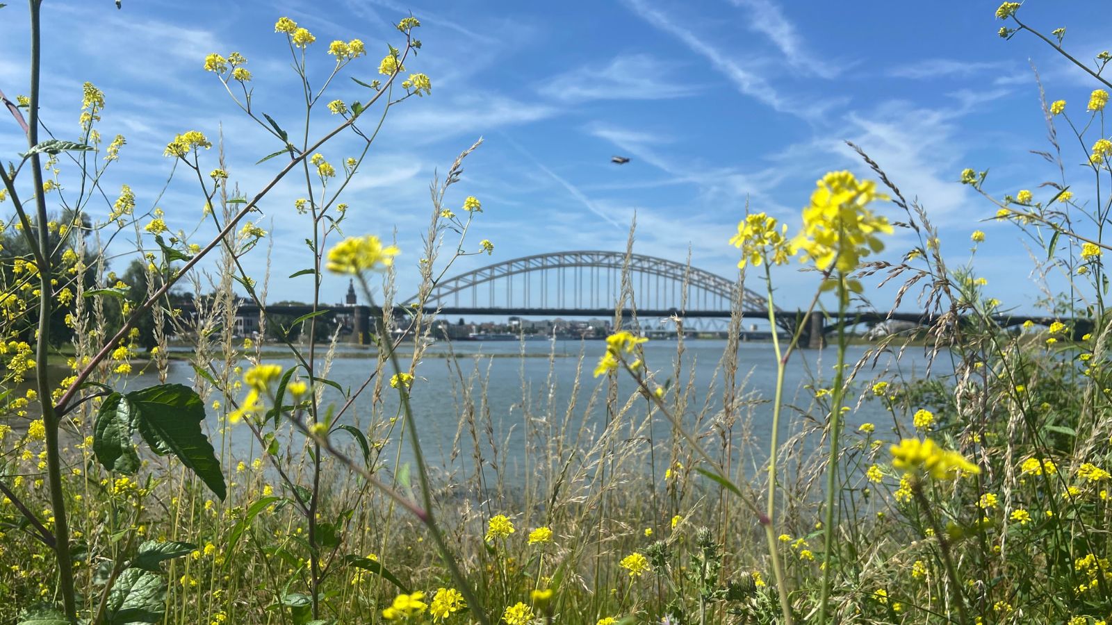 Tussen stad en groen: Streekpad Nijmegen door uiterwaarden
