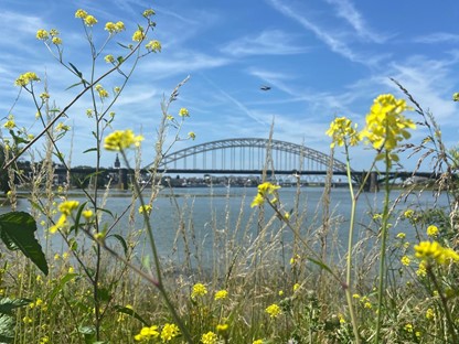 Tussen stad en groen: Streekpad Nijmegen door uiterwaarden