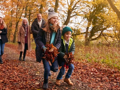 8 X De Mooiste Wandelroutes In De Herfst