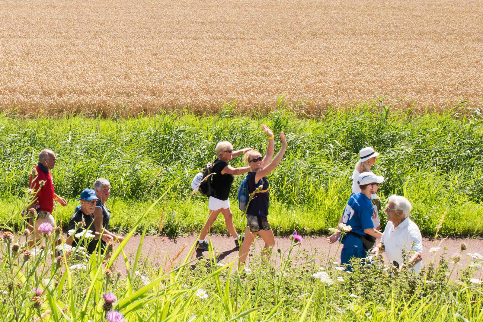 wandelaars tijdens een wandeltocht.