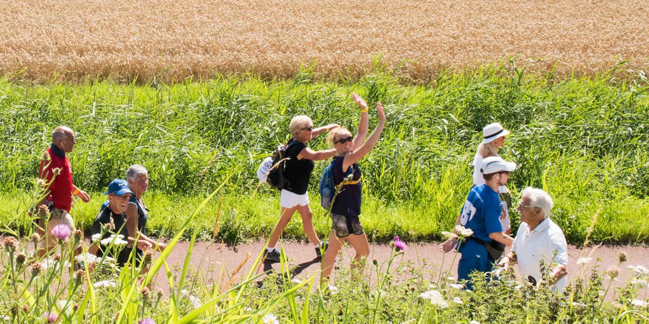 wandelaars tijdens een wandeltocht.