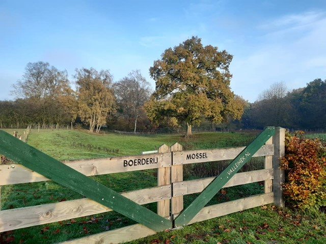 Boerderij Mossel 