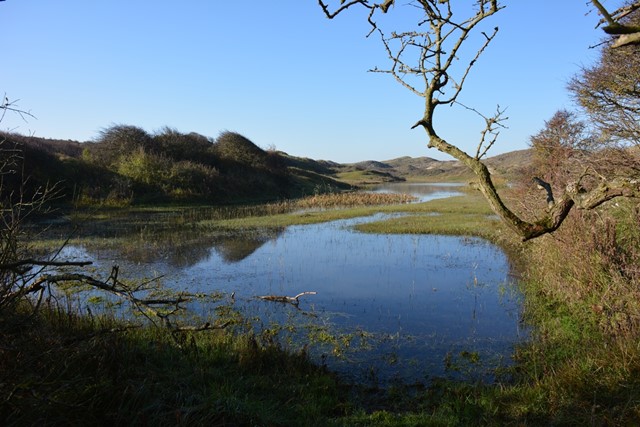 Meijendel 