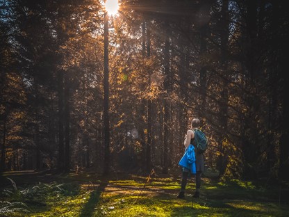 Header 2 | wandelen door sprookjesachtige naaldbossen