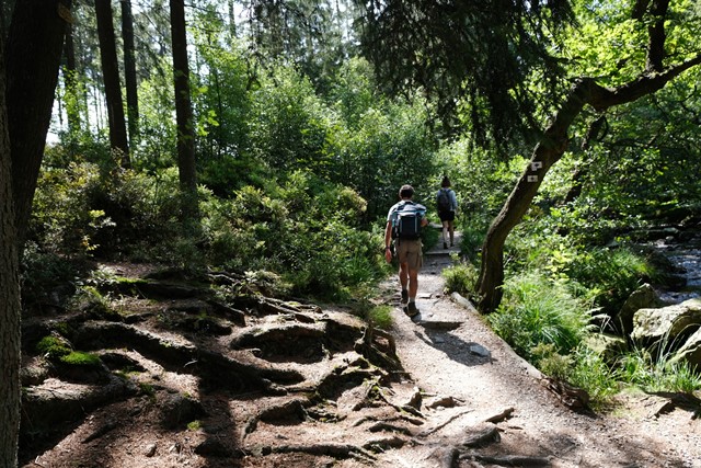 Vallée de la Hoëgne