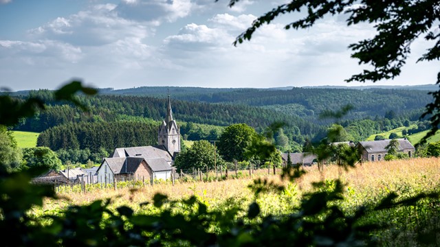 Zicht over het dorpje Redu