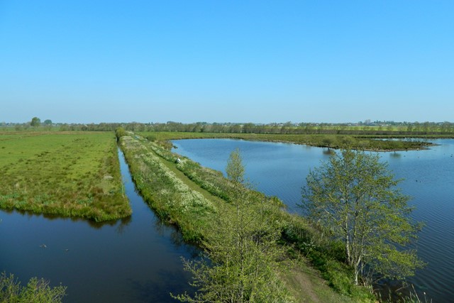 de wetlands van Willeskop met gras, water en een blauwe lucht