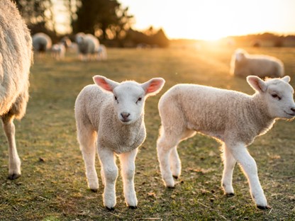 Wandelen met Pasen de mooiste wandelroutes
