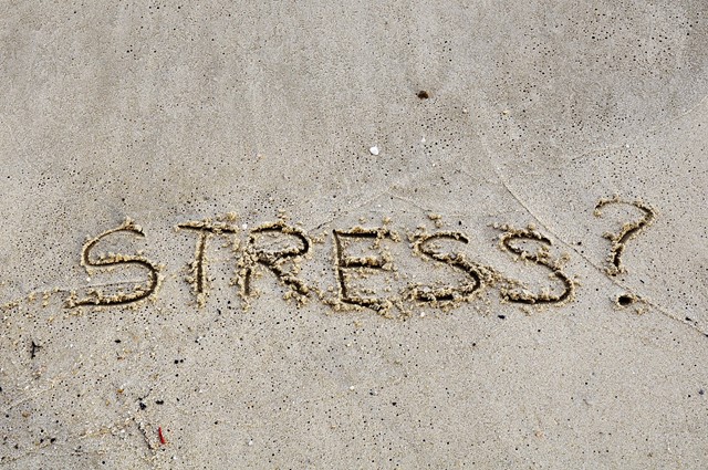 Stress