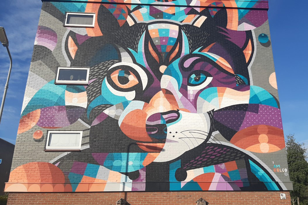 afbeelding van een mural van een kat gemaakt door Stefan Thelen.