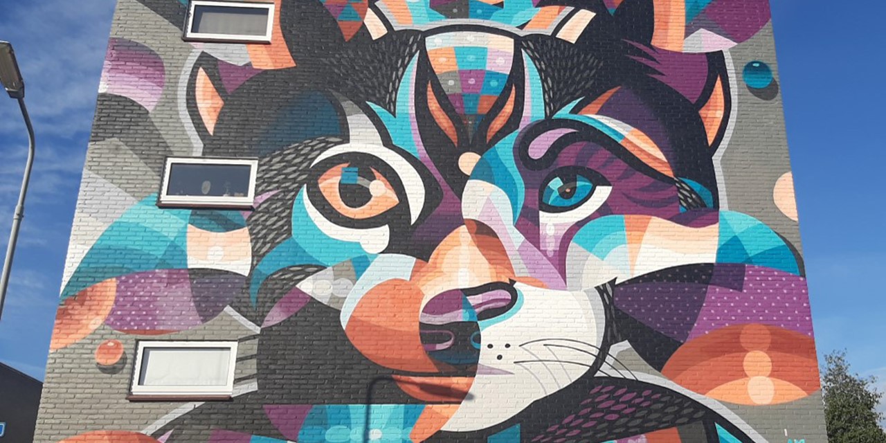 afbeelding van een mural van een kat gemaakt door Stefan Thelen.