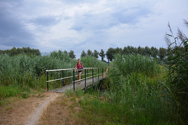 De Walk of Wisdom tussen Hernen en Winssen