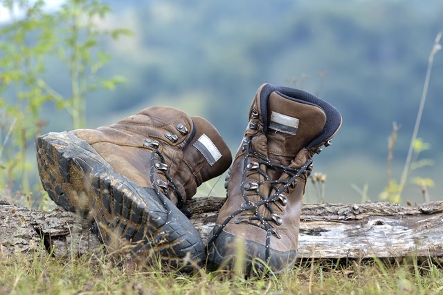 Wandelschoenen op een boomstronk