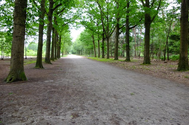 Rolstoelvriendelijk pad in het Mastbos