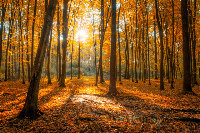 Hier Moet Je Rekening Mee Houden Tijdens Wandelen In De Herfst Temperatuur Daalt
