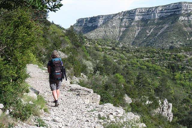 Gorges du Tarn