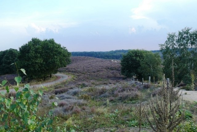 Mooie Wandelroutes Op De Veluwezoom Ns Wandeling