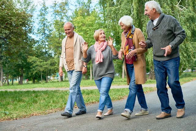 /wandelen-in-de-overgang1