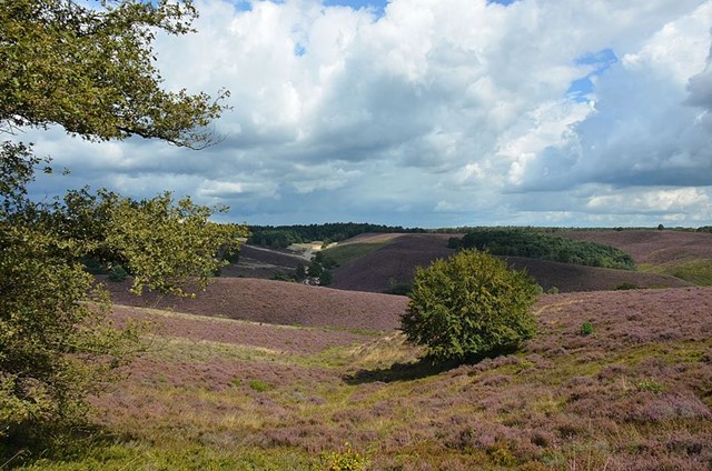 Uitzicht over de Posbank