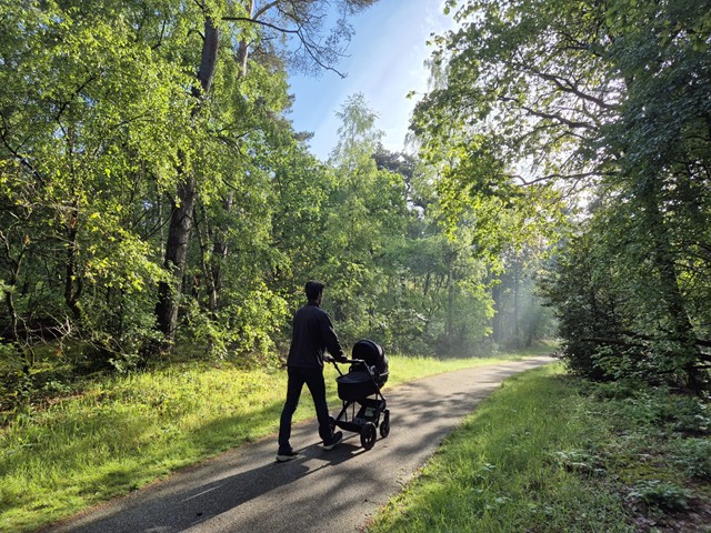 Wandelroutes Met Kinderwagen, Buggy (4)