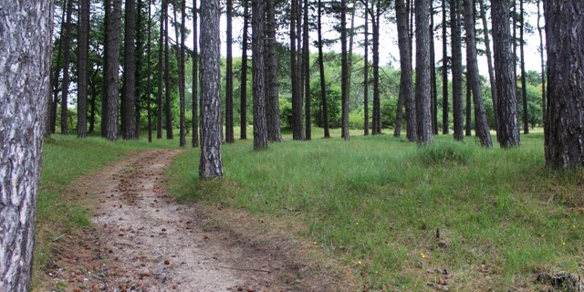 Wandelroutes In Noord Holland Zuidkennemerland