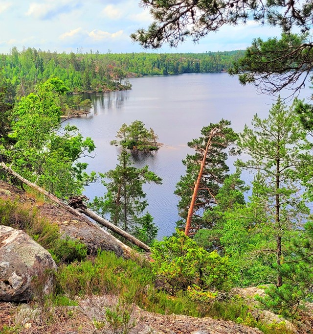 Tyresta National Park