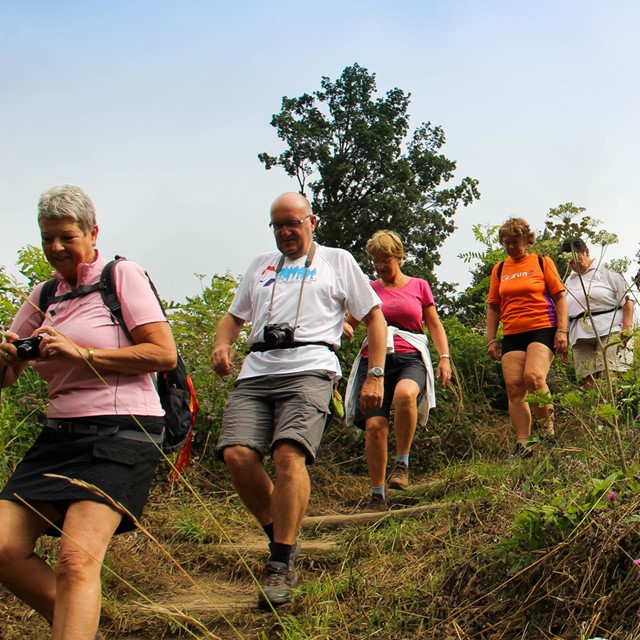 afbeelding van wandelaars die heuvel-af lopen tijdens de Heuvelland4daagse