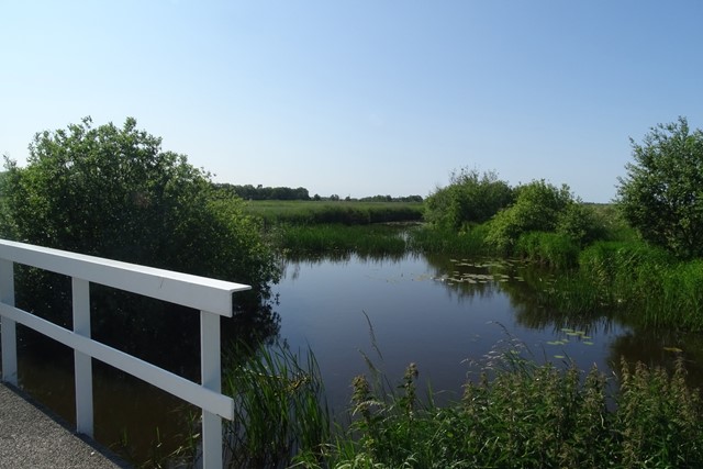 water, gras en een wit bruggetje.