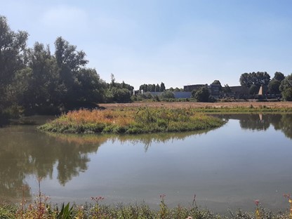 afbeelding van het water en landschap op Eiland van Brienenoord.