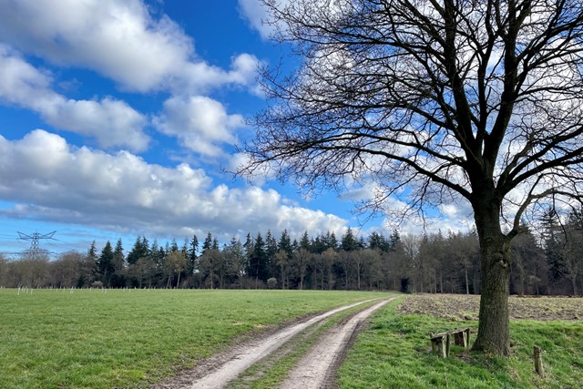 afbeelding van een wandelbankje in Almen.