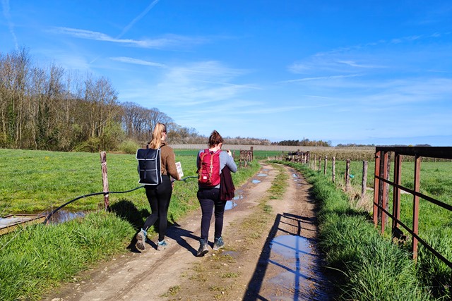 tafbeelding van twee wandelaars in de weilanden.
