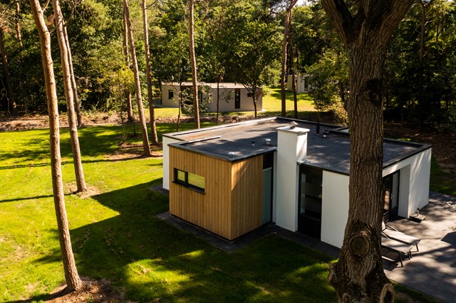 Naar het bos drie ontspannen wandeluitjes; Bungalow in Chaam.