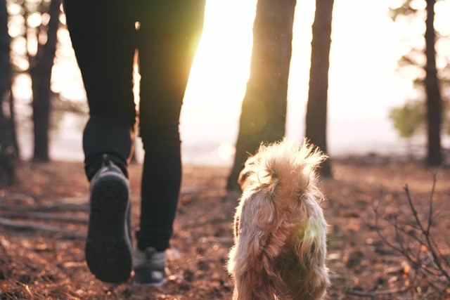 Wandelmaandje; wandelen met hond.