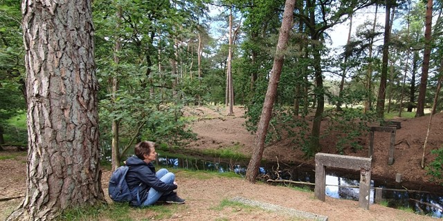 10 Wandelroutes Op De Utrechtse Heuvelrug Ns Wandeling Utrechtse Heuvelrug Station