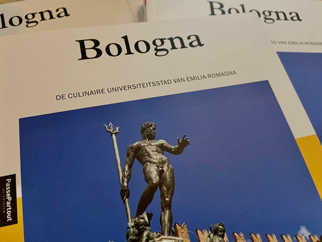Reisgids van Bologna.