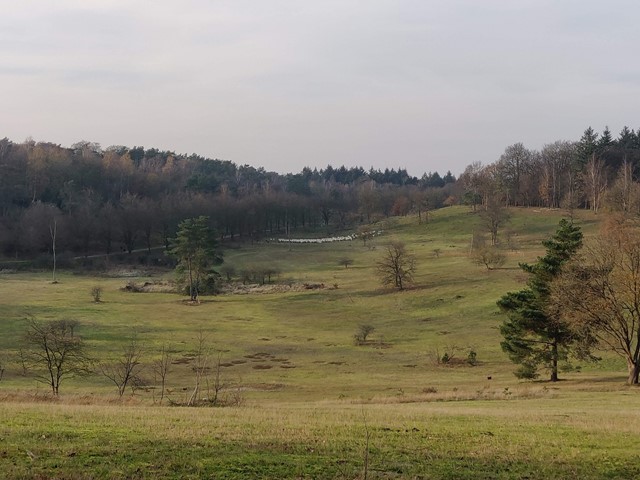 Soesterberg