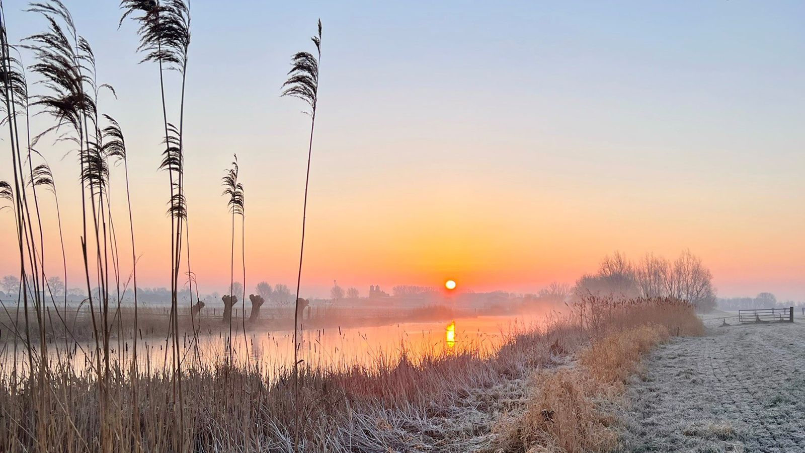 Wandelen In De Vroege Ochtend Dit Zijn De Voordelen