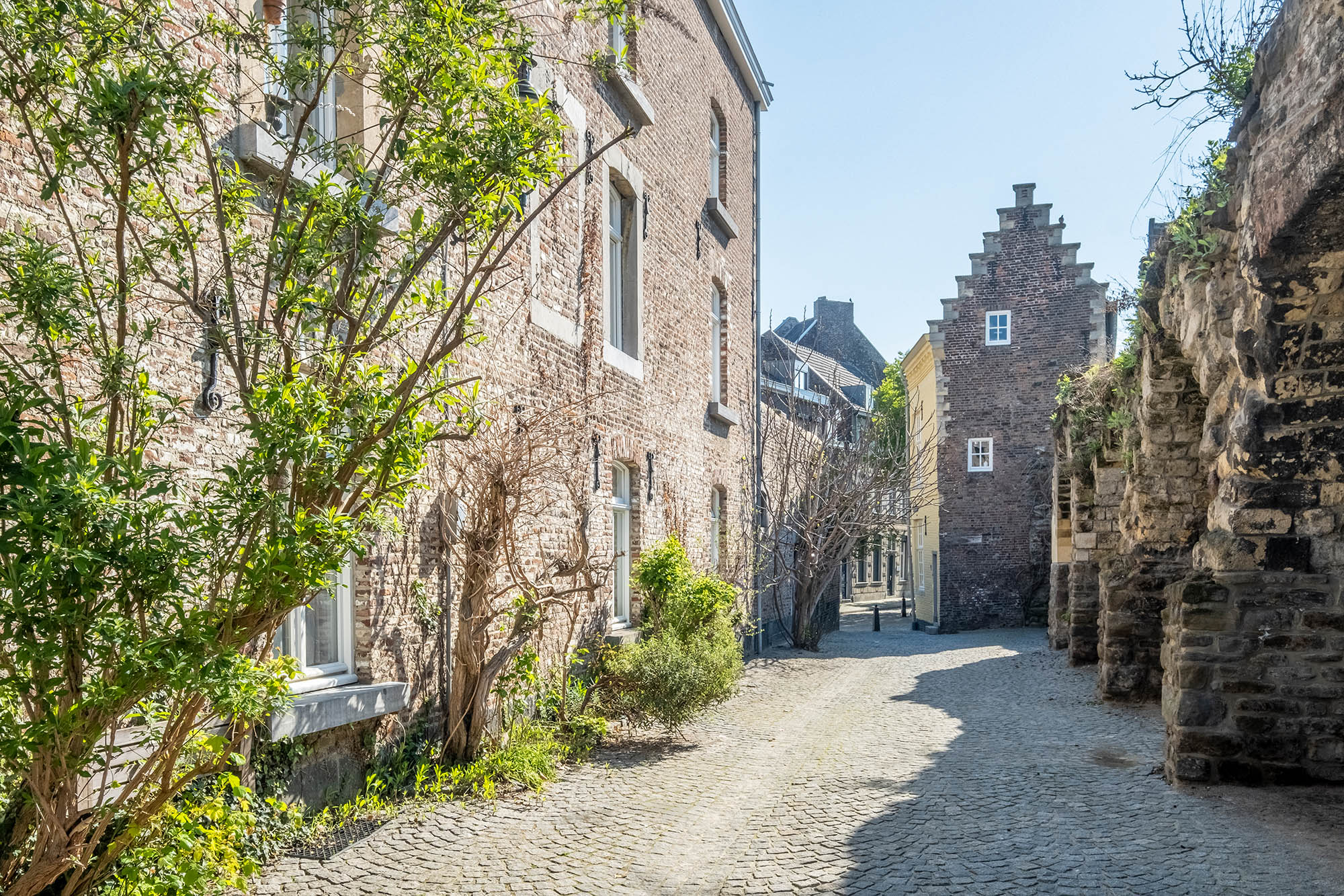 Stadswandeling Maastricht