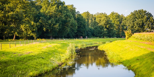 Leudal Neer Gendijk Boerderijen