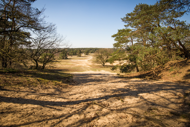 Wandelvakantie Gelderland mooiste wandelreizen Nederland