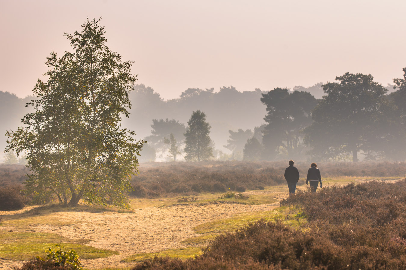 afbeelding van wandelaars op de heide