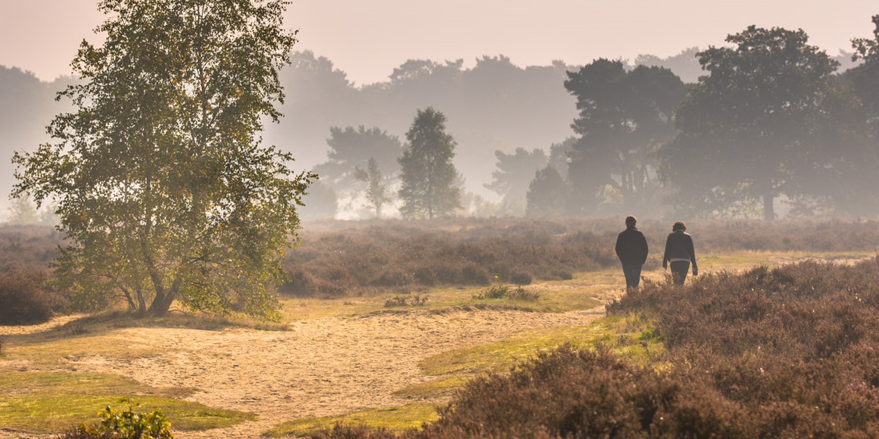 afbeelding van wandelaars op de heide