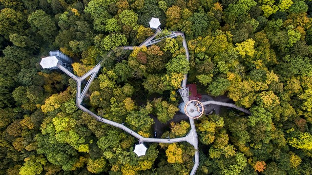 Boomkroonpad in Nationaal Park Hainich bij Schönstedt
