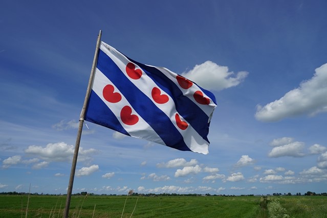 Vlag van Friesland