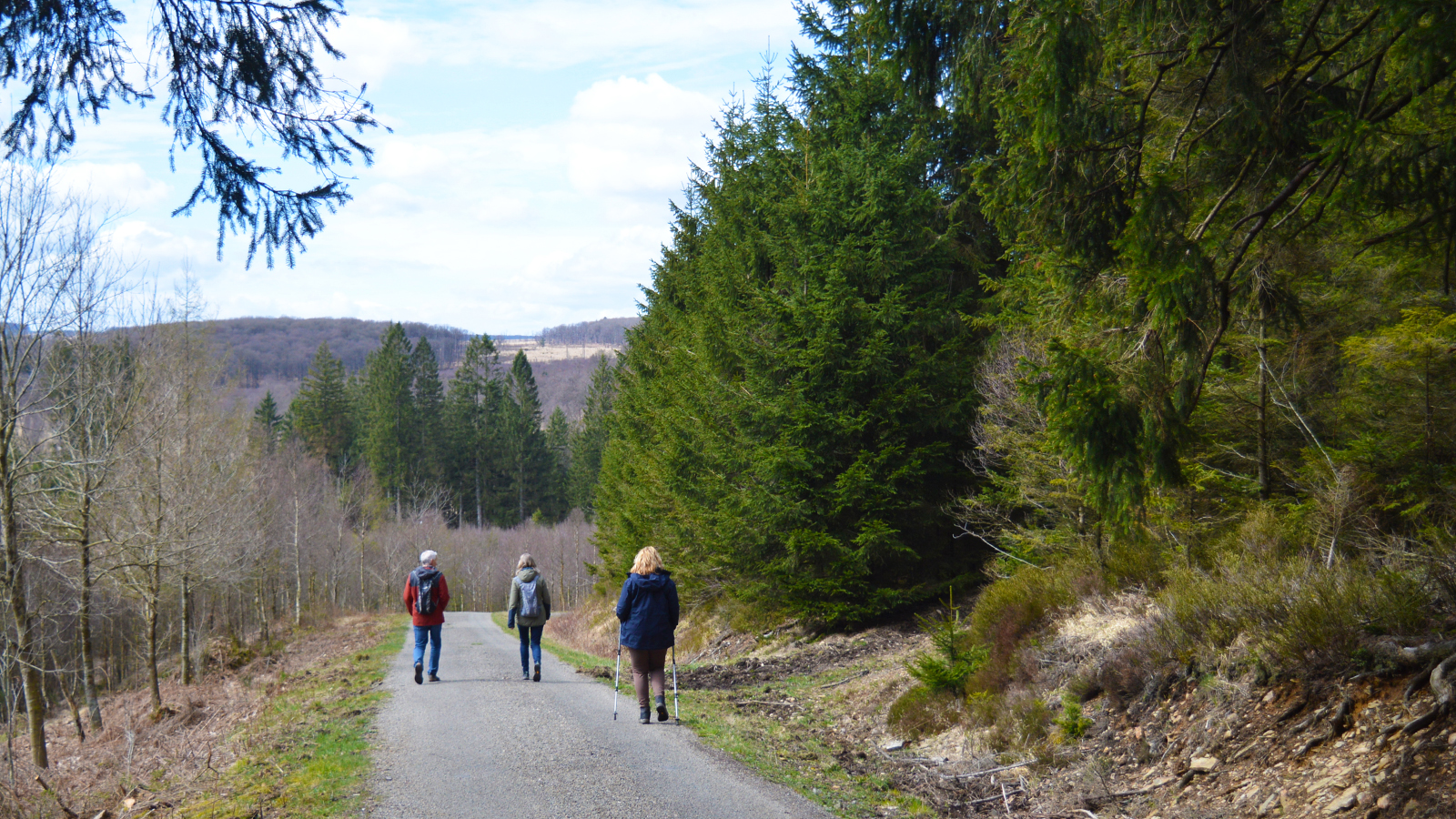Wandelen door de Hoge Venen in België